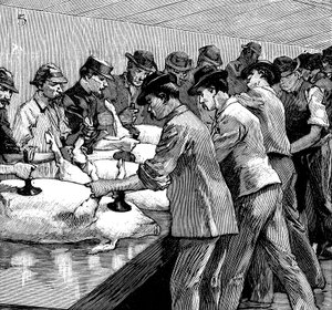 Varkensslachthuis van Armour Company, Chicago, Illinois, VS, 1892 door Unbekannt