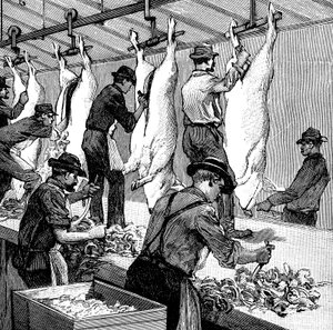 Slachthuis van Armour Company, Chicago, Illinois, VS, 1892