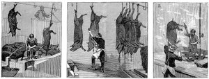 Varkensslachthuis van Armour Company, Chicago, Illinois, VS, 1892