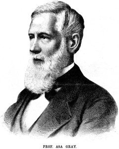 Asa Gray, Amerikaanse botanicus, 1888