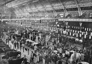 Op de Smithfield Club veeshow, Agricultural Hall, Islington, Londen door Unbekannt