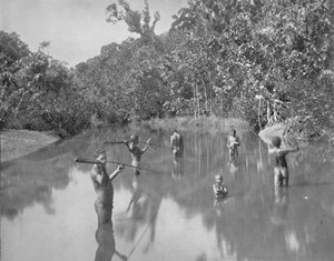 Australische Aboriginals die vissen spiesen