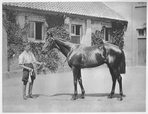 Australian Star, 1911 door Unbekannt