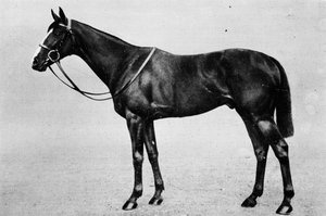 Bachelors Double, 1911 door Unbekannt