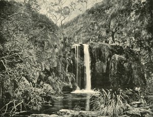 Back Creek Falls, Buchan River, Victoria, 1901
