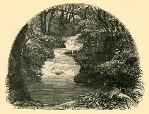 Bagworthy Waterslide, 1898 door Unbekannt