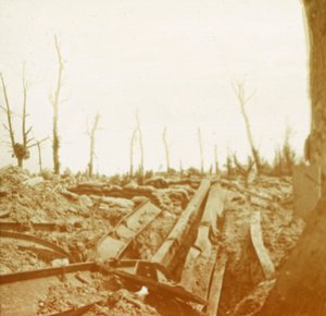 Oevers van de rivier de IJzer, Diksmuide, België door Unbekannt