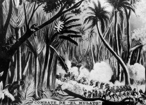 Slag tijdens de Cubaanse Onafhankelijkheidsoorlog, 1895