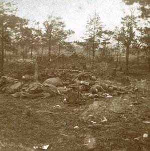Slag bij Champagne, Souain, Noord-Frankrijk, ca. 1915