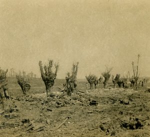 Slagveld, Maurepas, Noord-Frankrijk, c1914-c1918 door Unbekannt