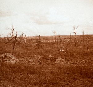 Slagveld, Tahure, Noord-Frankrijk, ca. 1914-ca. 1918 door Unbekannt