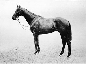 Bayardo, 1911 door Unbekannt