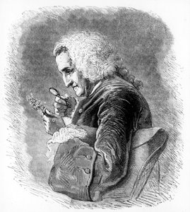 Bernard de Jussieu, 18e eeuwse Franse botanicus, 1880 door Unbekannt