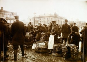 Vogelmarkt, Trubnaya Plein, Moskou, Rusland, 1908
