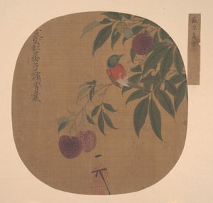 Vogel op een lychee tak door Unbekannt