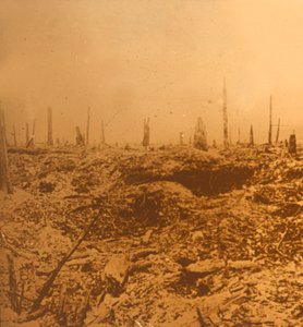 Bois du Chapitre, Vaux, Noord-Frankrijk, ca. 1914-ca. 1918