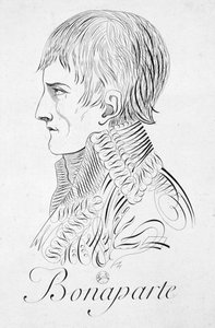 Bonaparte, 19e eeuw