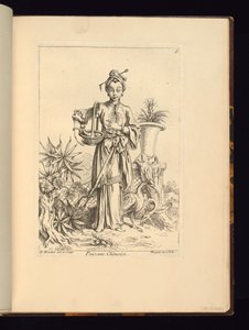 Chinese botanicus door Unbekannt
