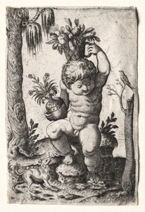 Jongen met fruitmand