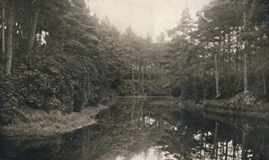 Branksome Chine en Meer, ca. 1910