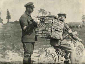 Britse legerduiven in Frankrijk, 1919 door Unbekannt