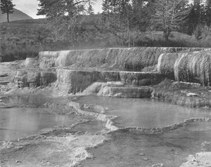 Brown Sulphur Springs, Yellowstone National Park, VS, c1900