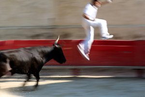Stierenvechten (Course camarguaise). Een bloedeloos spektakel (voor de stieren) waarbij het doel is een rozet van het hoofd van een stier te pakken, Vallabregues