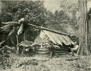Bush Hut, Dandenong Ranges, Victoria, 1901 door Unbekannt