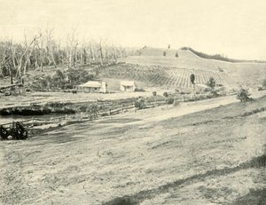 Bush Workmans Home, Gippsland, Victoria, 1901 door Unbekannt