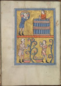 Kalender, september, mannen die druiven plukken en treden - Psalter van Eleanor van Aquitanië (ca. 1185) - KB 76 F 13, folium 009v