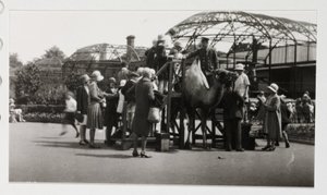 Kameelrit, circa 1930 door Unbekannt