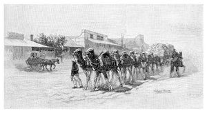 Kameelteam, Wilcannia, New South Wales, Australië, 1886 door Unbekannt