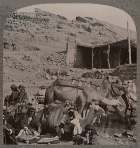 Kameelkaravaan uit Jerash, drinkend bij de Fontein van Elisa, ca. 1900 door Unbekannt
