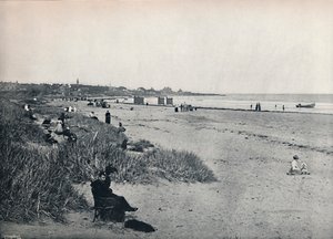 Carnousetie - De stad en het strand, 1895