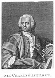 Carolus Linnaeus, 18e-eeuwse Zweedse natuuronderzoeker