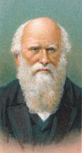 Charles Darwin, Britse natuuronderzoeker door Unbekannt