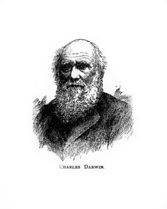 Charles Darwin, 19e-eeuwse Britse natuuronderzoeker, 20e eeuw door Unbekannt