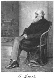 Charles Darwin, Engelse natuuronderzoeker door Unbekannt