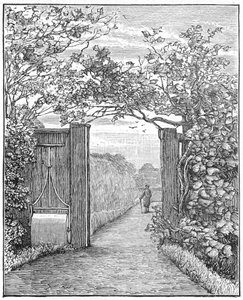 Charles Darwin in de zandwandeling bij Down House, ca. 1870 1887 door Unbekannt