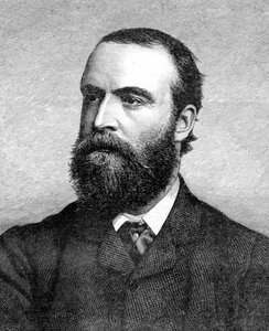 Charles Stuart Parnell, 19e-eeuwse Ierse politicus, ca. 1874-1891 door Unbekannt