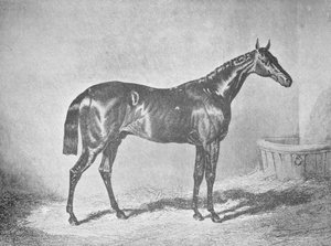Charles XII, winnaar van de St. Leger 1839, 1911