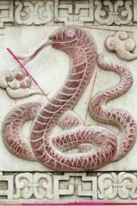 Chinees astrologisch teken. Witte wolkentempel, Peking, China