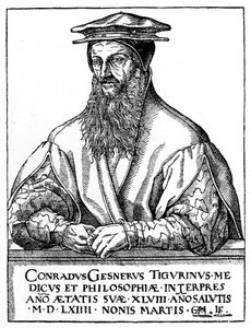 Conrad Gessner, Zwitserse natuuronderzoeker, 1887