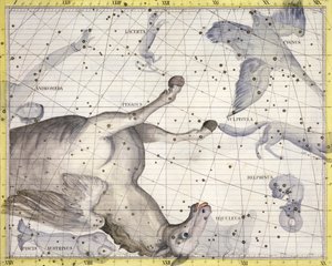 Constellatie van Pegasus, 1729 door Unbekannt