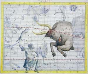 Constellatie van Stier door Unbekannt