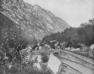 Cottonwood Canyon, Utah, ca. 1897 door Unbekannt
