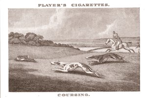 Coursing-11, 1924