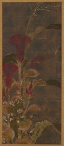 Hanekammen, maïs en ochtendglorie