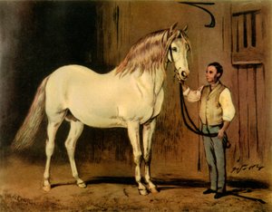 Cream State Carriage Horse van de Stoeterij van Koningin Victoria, c1875, 1944