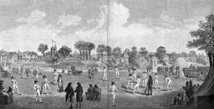 Cricket bij Moulsey Hurst, 1890 door Unbekannt